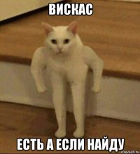 вискас есть а если найду