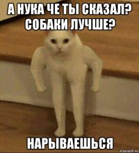 а нука че ты сказал? собаки лучше? нарываешься