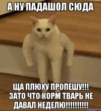 а ну падашол сюда ща плюху пропешу!!! зато что корм тварь не давал неделю!!!!!!!!!!