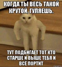 когда ты весь такой крутой, гуляешь. тут подбигает тот кто старше и выше тебя и всё портит