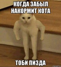 когда забыл накормит кота тоби пизда