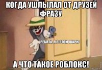 когда ушлылал от друзей фразу а что такое роблокс!