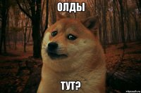 олды тут?