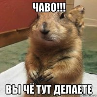 чаво!!! вы чё тут делаете