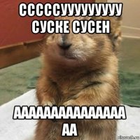 сссссууууууууу суске сусен ааааааааааааааа аа