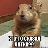  кто-то сказал лотка??