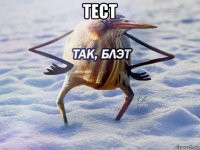 тест 