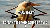  когда к тебе подходит cв а ты с 0