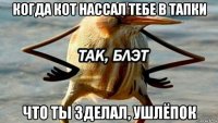 когда кот нассал тебе в тапки что ты зделал, ушлёпок