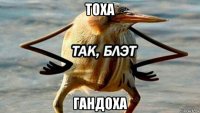 тоха гандоха