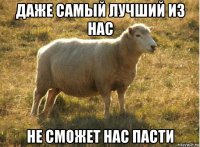 даже самый лучший из нас не сможет нас пасти