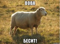 вова бесит!