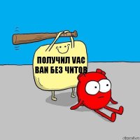 Получил VAC BAN без читов