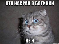 кто насрал в ботинки не я