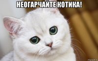 неогарчайте котика! 