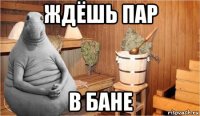 ждёшь пар в бане