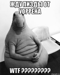 жду пизды от уоррена wtf ?????????