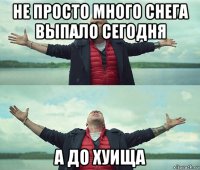 не просто много снега выпало сегодня а до хуища