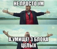 не просто ум а умище! 3 блока целых