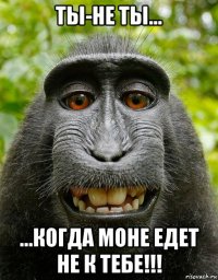 ты-не ты... ...когда моне едет не к тебе!!!