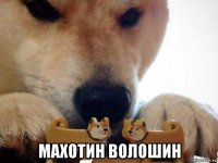  махотин волошин