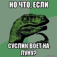 но что, если суслик воет на луну?