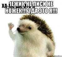 1ежик не писи не ножек!!! 2да это я!!! 