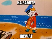 на работе научат