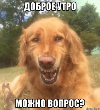 доброе утро можно вопрос?