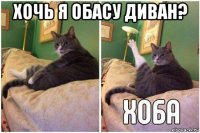 хочь я обасу диван? 