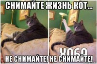 снимайте жизнь кот... не снимайте! не снимайте!