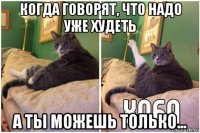 когда говорят, что надо уже худеть а ты можешь только...