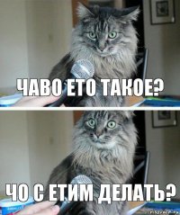 чаво ето такое? чо с етим делать?