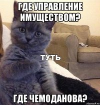 где управление имуществом? где чемоданова?