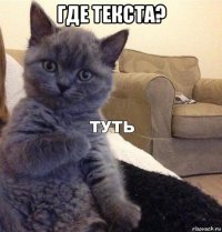 где текста? 