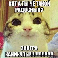 кот а ты чё такой радосный? завтра каникулы!!!!!!!!!!!!!!!!