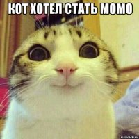 кот хотел стать момо 