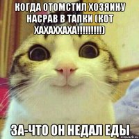 когда отомстил хозяину насрав в тапки (кот хахаххаха!!!!!!!!!) за-что он недал еды