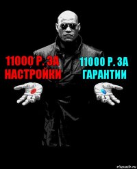 11000 р. за настройки 11000 р. за гарантии 