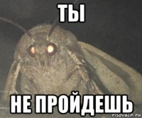 ты не пройдешь