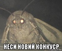  неси новий конкуср