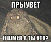 прыувет я шмел а ты хто?