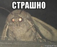 страшно 