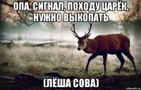 опа, сигнал, походу царёк, нужно выкопать (лёша сова)