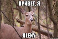 привет, я oleny