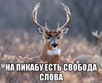  на пикабу есть свобода слова