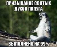 призывание святых духов папуга выполнено на 99%