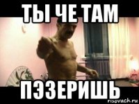 ты че там пэзеришь