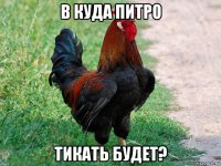 в куда питро тикать будет?