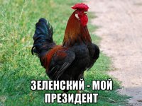  зеленский - мой президент